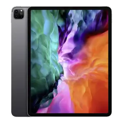 Apple iPad Pro 12.9-inch 4th Gen Wi-Fi+Cellular Space Gray; 256GB;USB-C/USB-C Cable, batteryCARE