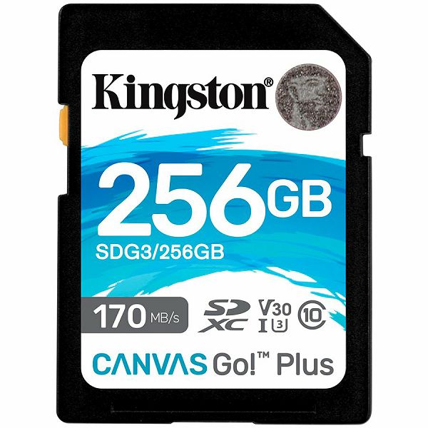 Карта памяти sdxc kingston canvas go plus 256 гб sdg3 256gb